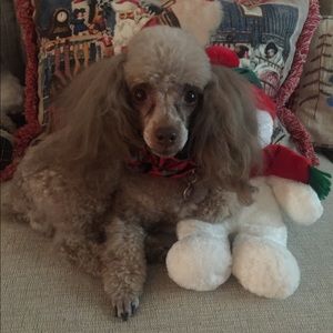 Meet your Posher, Beverly